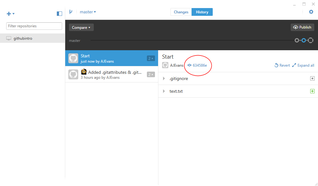 Screenshot: hash code