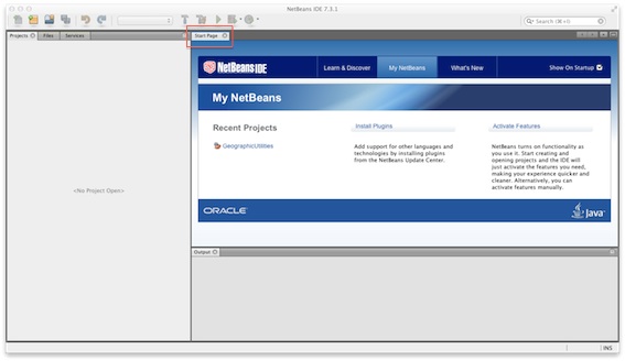 Netbeans initial screen.