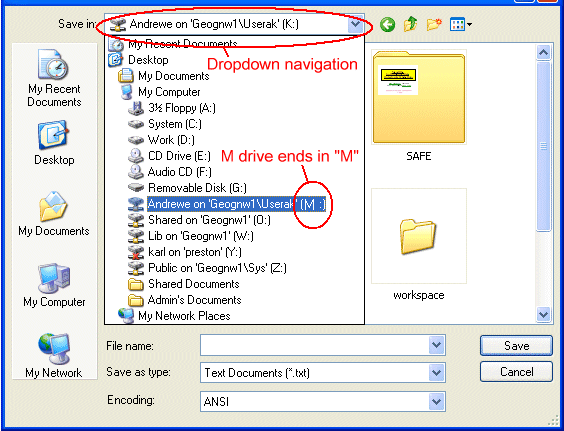 Screenshot: File save dialog.