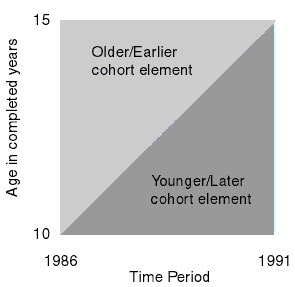 [Cohort elements]