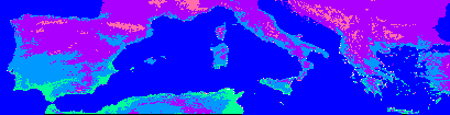 Load images
