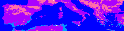 Load images